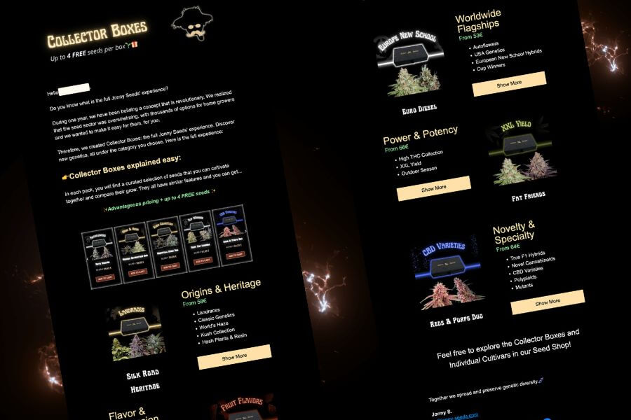 email-marketing-example (2)